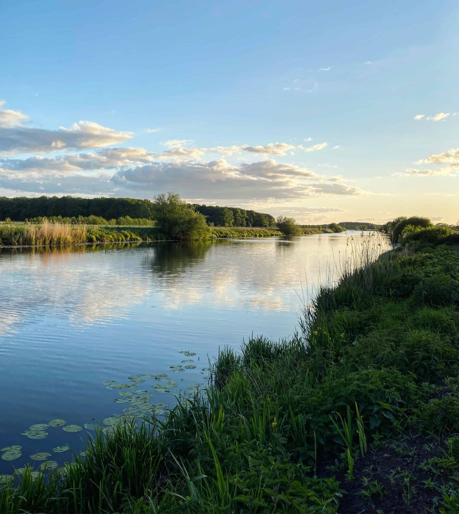 De Overijsselse Vecht op een zomerdag.