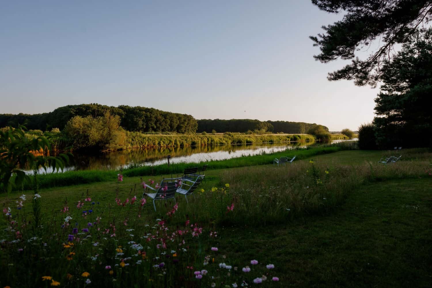 De zonneweide aan de rivier de Vecht.