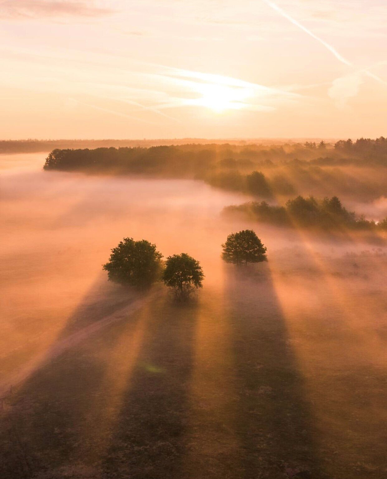 Zonsopgang met ochtenddauw over het Vechtdal.